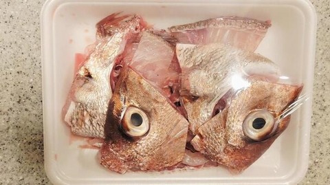 4200e1961c5c78019575e91d9fab646c