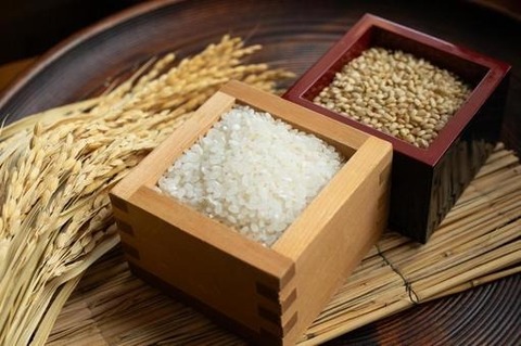 a196d891feb6d3e1502925bfa3f23bc8