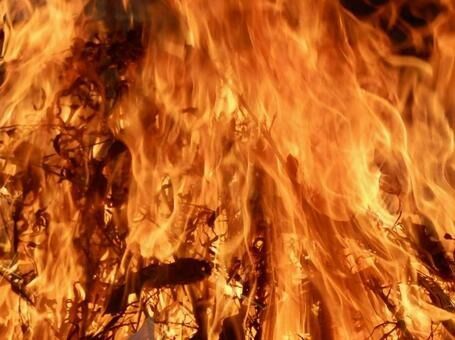 87049875544fbca9b4192b2828abc3d2