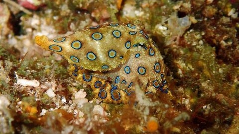 ccb10dcde99d3e87ffe67f10ecaa4800