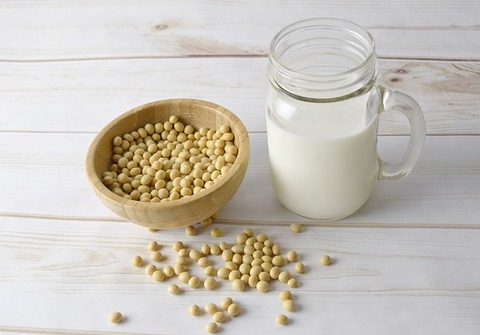 soy-milk-2263942_640