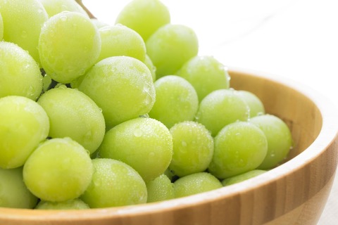 muscatFTHG2661_TP_V