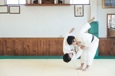 JUDO458A9070_TP_V4