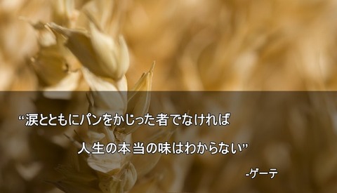 686ed4bdfa7ae8638c2951ec8fddb73d