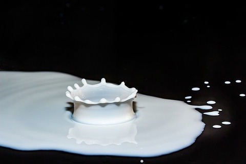 drops-of-milk-2062100_640