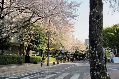 efff6ee787e79f22745bb315cd8f0543