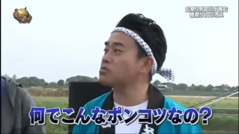 lXsvSeookBQf3pV_XERsb_534