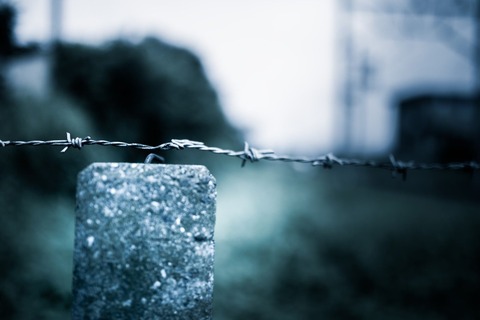 PAK88_barasenkinchi2014072008421