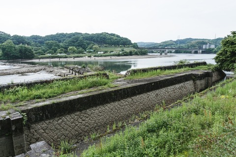 mzubotty-DSC03453-8579_TP_V