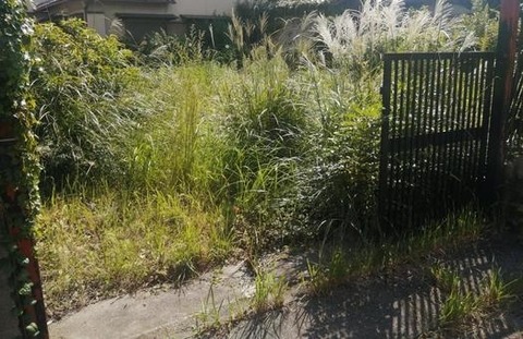 e977fed84d1f50f978fe21b63b2a4e58