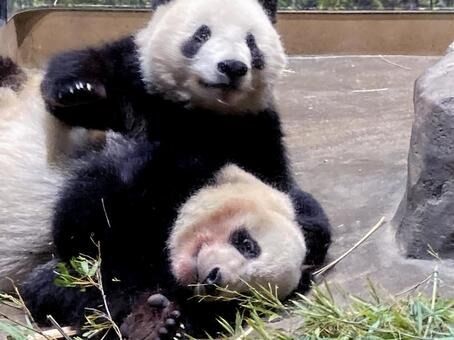 9d8f272fafeb0bcd9346e956fdf5ce1b