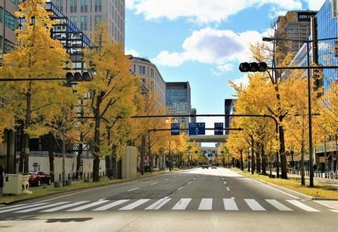 29bbedd2319acbdd2a204c7e3e4291c6