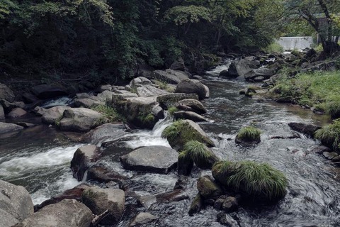 FK+_IMG0357_TP_V4