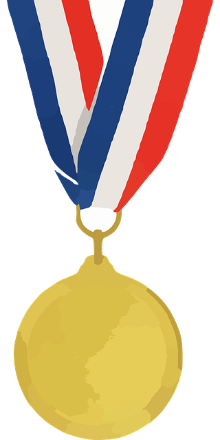 medal-295094_640