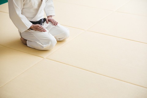 JUDO458A8544_TP_V