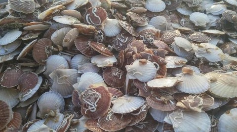 8ab1b3463cbb77601f57b1952c8f68c9