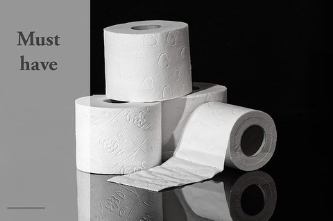 toilet-paper-4942737_640