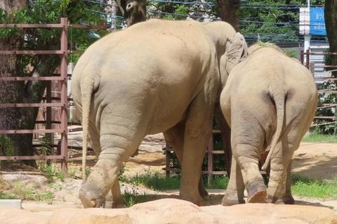 87073afa715721ce7f6461fb0cfdfeb5