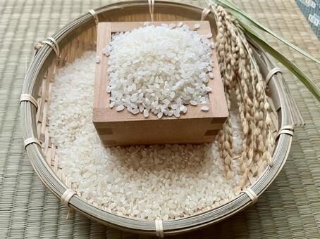 b0b63251a789c0435a44f50b18a5c03f