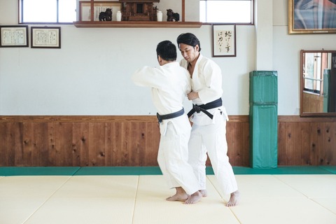 JUDO458A8787_TP_V