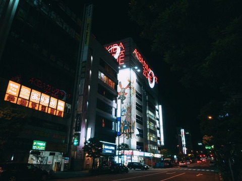 NZSbobakibaPA170123510AB-low-lig