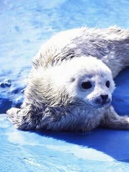 5fea2699bad9c3158f67bf5b14e0992f