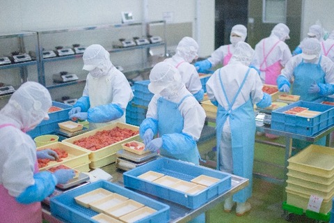factory-4