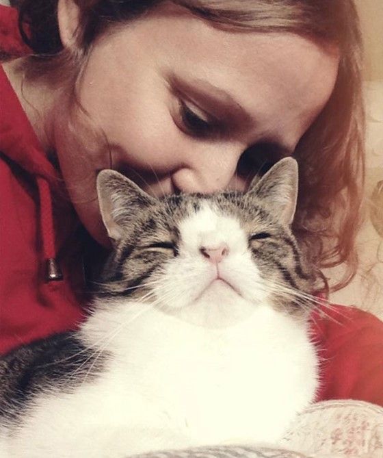 動物 ダウン症の猫wwwwww 画像あり Newsまとめもりー 2chまとめブログ 動物 ダウン症の猫wwwwww 画像あり Newsまとめもりー 2chまとめブログ