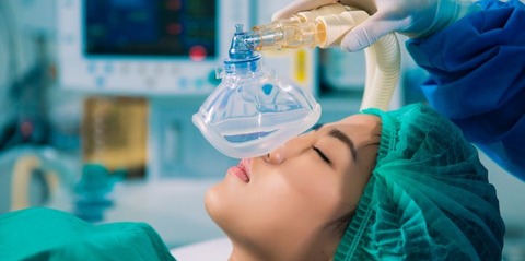 AdobeStock_85164581-724x360