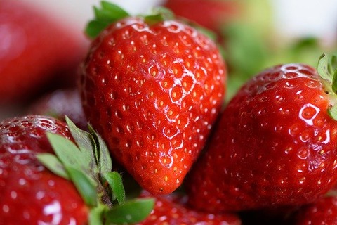 strawberries-4330211_640