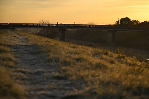 REDSG2153B050.jpg