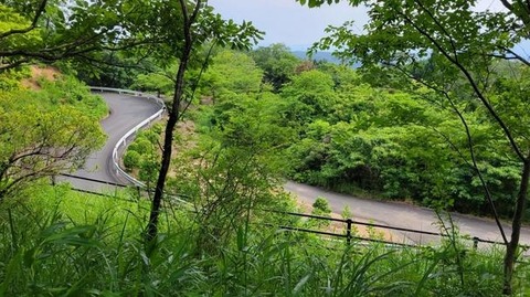 82b4472fc3b6bfac93ff29f9cebf32b8