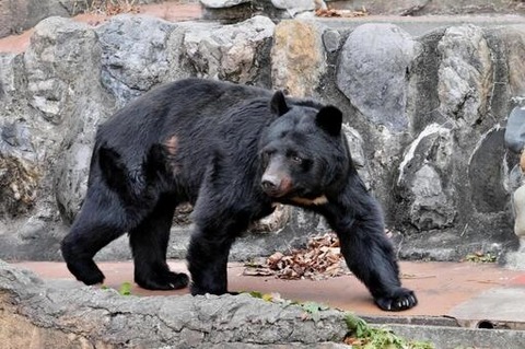 1aa59194854f3a04c61138aa8eb6b58b