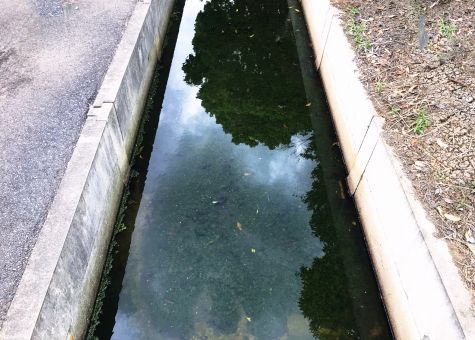 c9470c04e2157ce81ae4f393e12e32b8_t