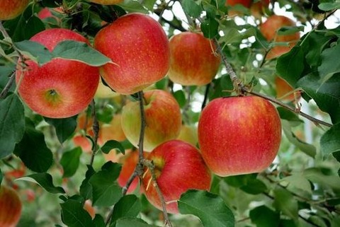 01dce9d2bd68536b4f7bc5f158dae960