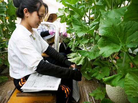 AS20180731000924_comm