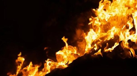 0c73be6ed481e86827b0ed897d08b505