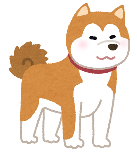 dog_akitainu