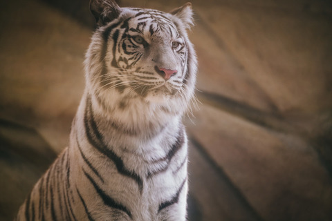 tsurutama_MKT32010094_TP_V4