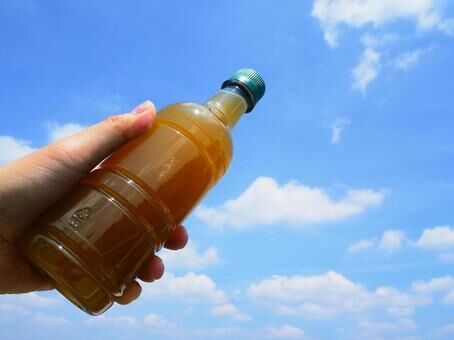 d88d7b448140bf55d18497373bc234ce