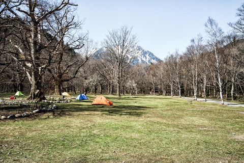 KUMAKICHI1027605_TP_V4