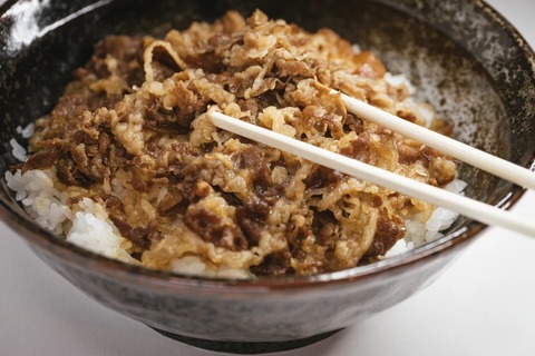 gyudon458A7164.jpg