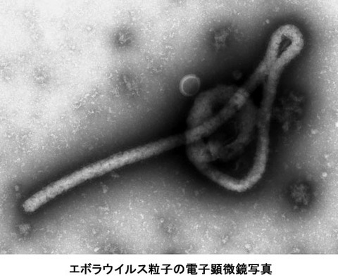 ebola_L
