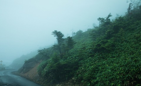 gunma-IMGL5922_TP_V