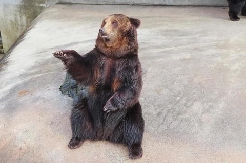 65296d3fd82561923ad4689838f1a936