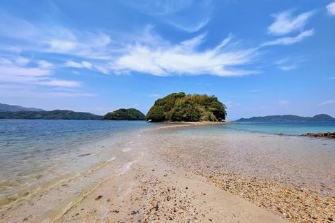 c2d42734b822924e523b1d89bfa75b52