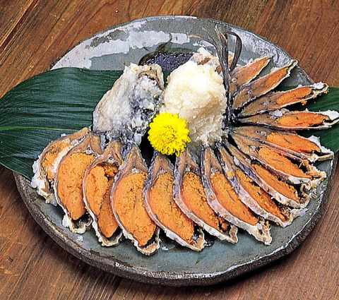 funazusi_image