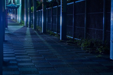 NAT93_hikarinosasu_TP_V