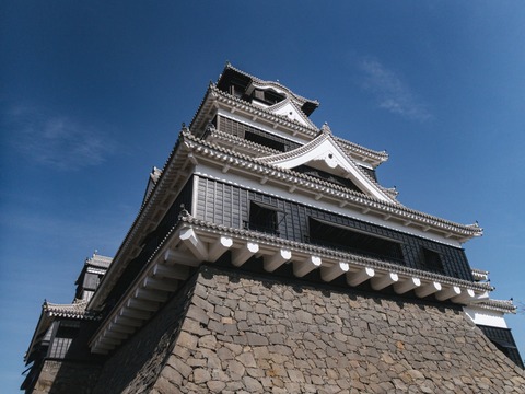 bobkumamoto351P1030217_TP_V