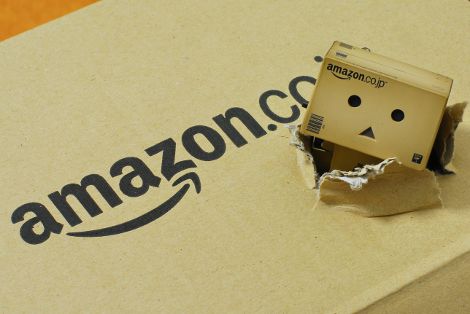19088_amazon_inside_1